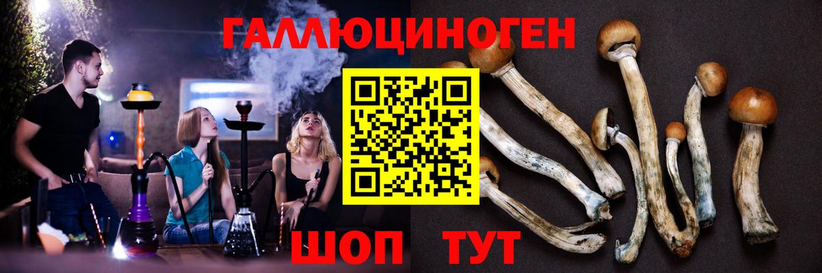 Псилоцибиновые грибы Psilocybine cubensis  Вход с VPN  Михайловск  Псилоцибиновые грибы мухоморы 